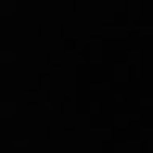 Meet your Posher, Desiree